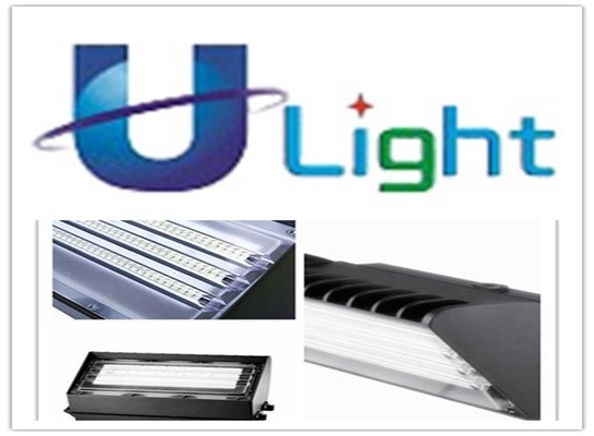 el paquete de la pared de Black&White LED de la energía baja 17W enciende la fotocélula 1600Lm