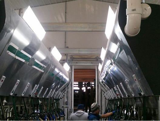 Luces lineares llevadas actuales constantes 85Watt AC100 - 277V 3/5 años de garantía